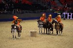 Quadrille - 00014